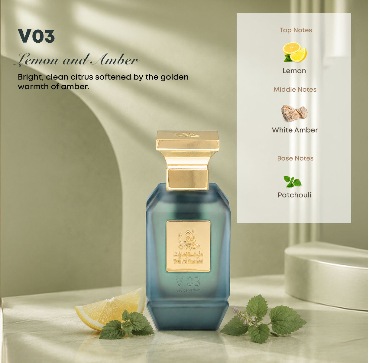 V03