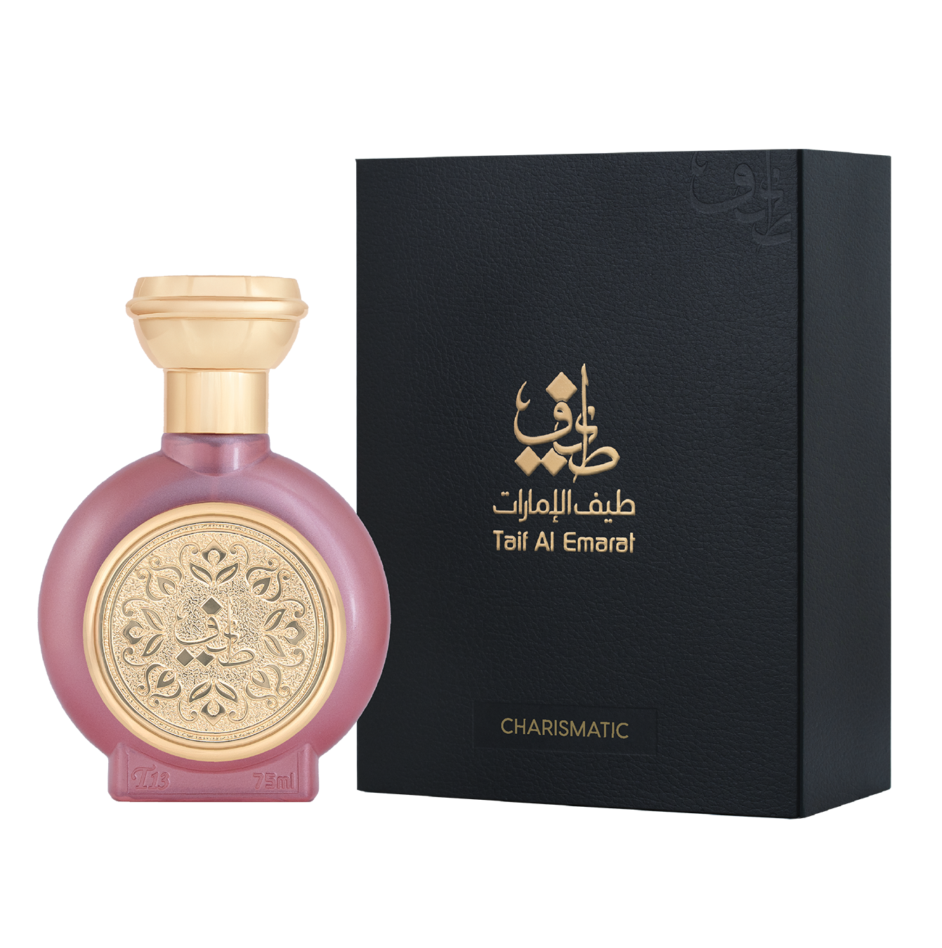 TAIF 13
