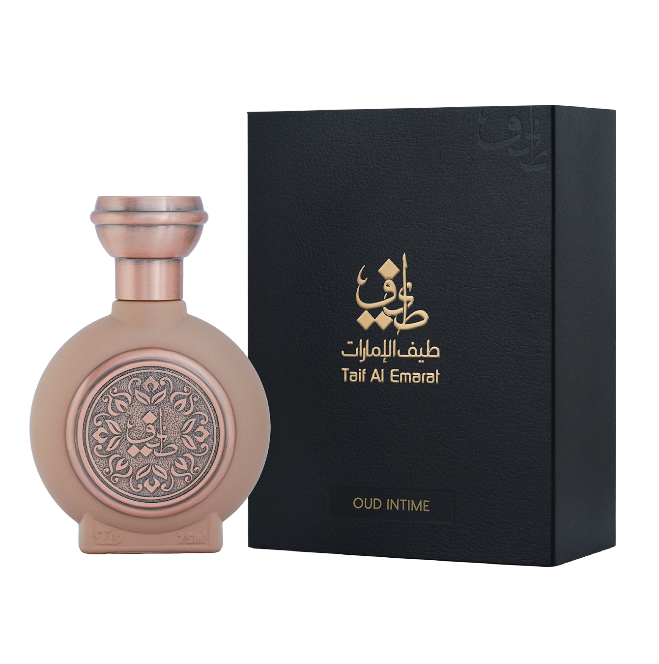 TAIF 19